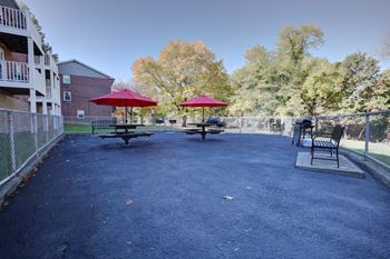 Tree-lined bbq and picnic area